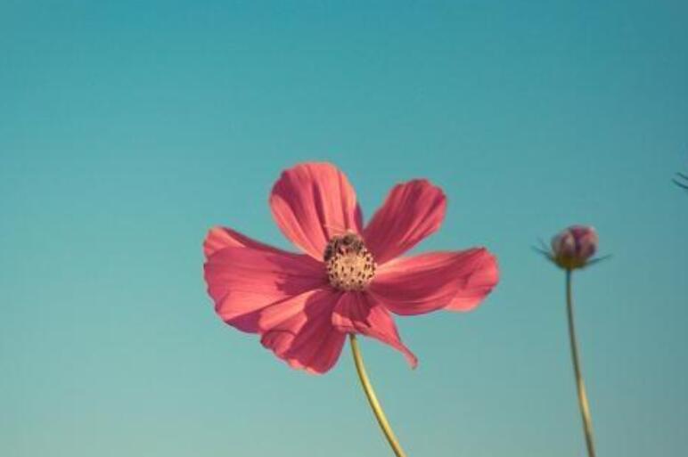 早上给情人肉麻情话文案