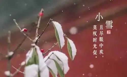 有关小雪的诗句文案唯美