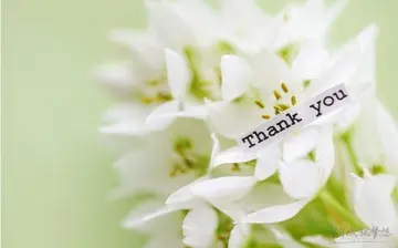 感谢信任的句子文案经典