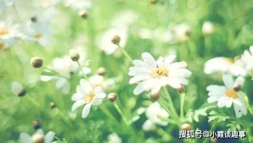 对生活充满希望的句子文案