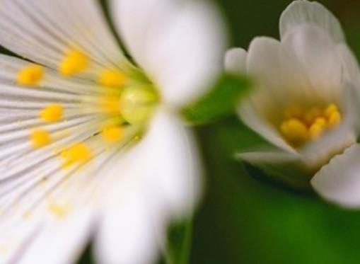 关于青春的唯美句子文案名人名言