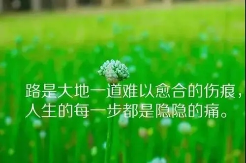 女人的生活感悟短语