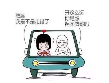 搞笑摔车句子文案