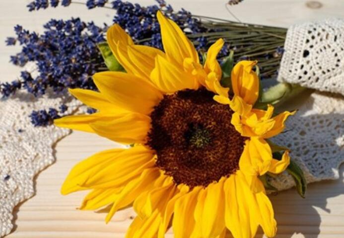 经典语录文案短句励志