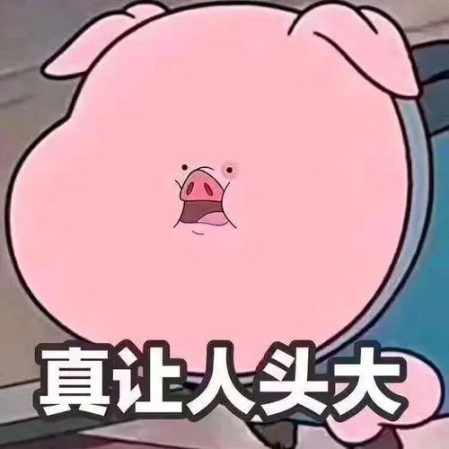 形容猪的幽默语句文案