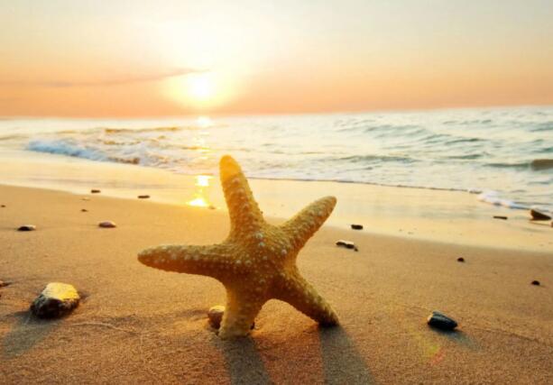 晚安语录文案经典语录文案暖心短句