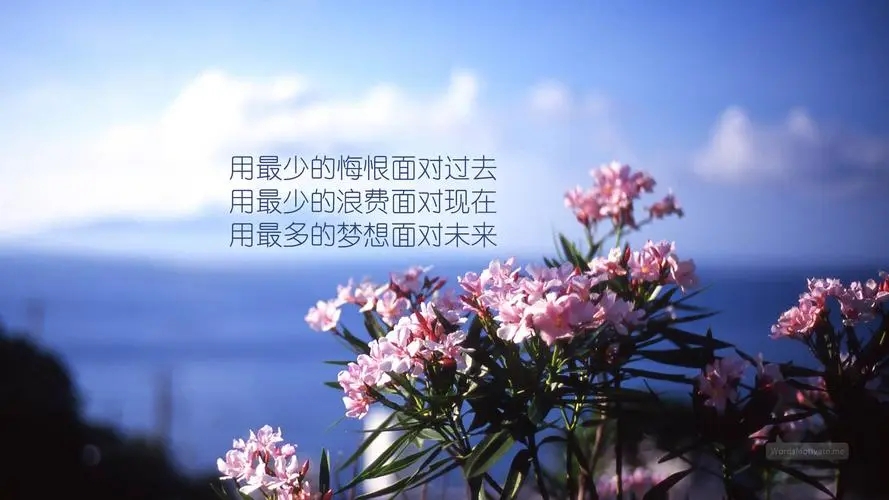 对幸福的理解和感悟