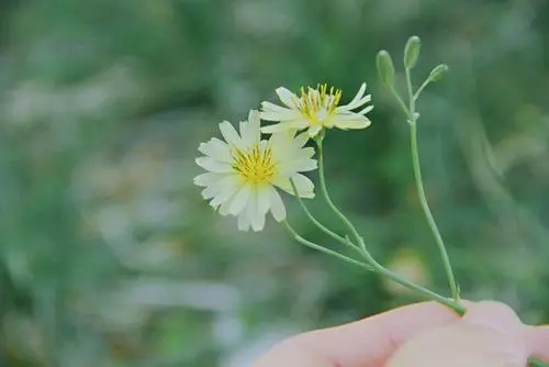 适合每个月一号发的朋友圈