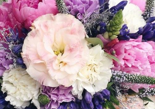 好句文案大全10字小学生二年级