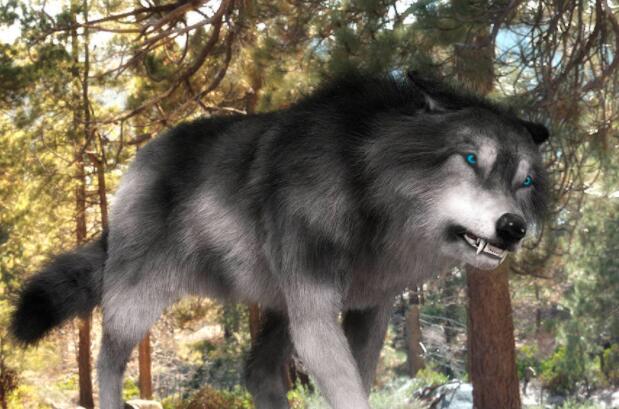 狼道最狠的五句话