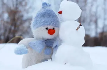 2024年七夕情话文案最暖心短句