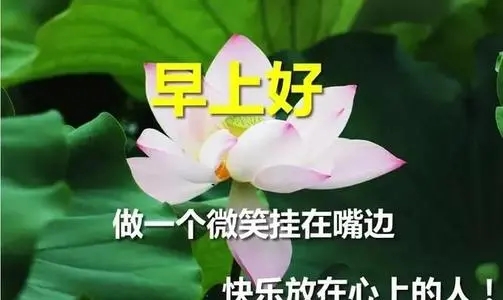 给情人早上浪漫问候语