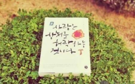 女人努力奋斗的句子文案说说心情