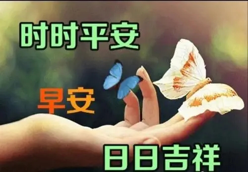周一给客户发的短信