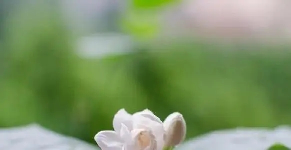 致自己好心情哲理短句