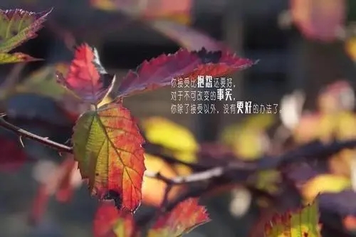 美业早安正能量简单一句话