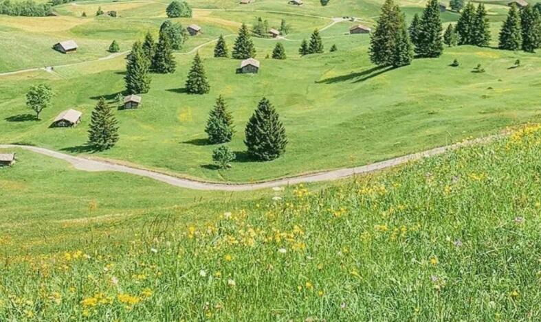 春天文案短句干净治愈