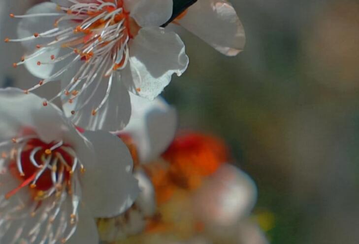 正能量签名简短