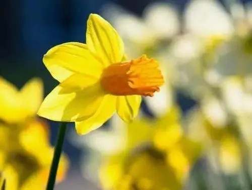 经典语录2024感悟人生句子文案