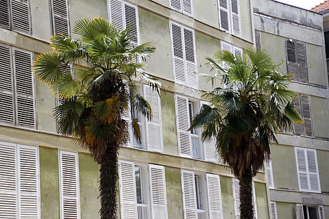 关于爱情心情不好的句子文案