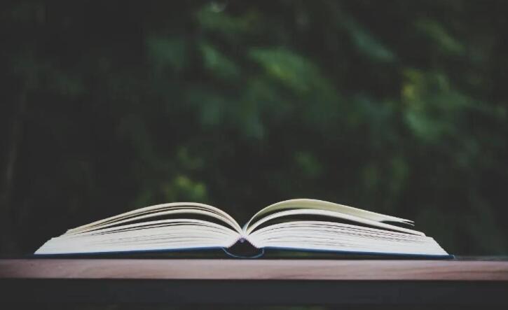 富有哲理的句子文案段落250字