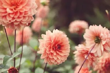 还有什么描写颜色的短语