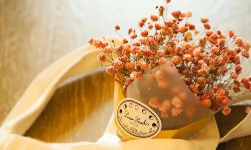 充满正能量阳光的八字短句