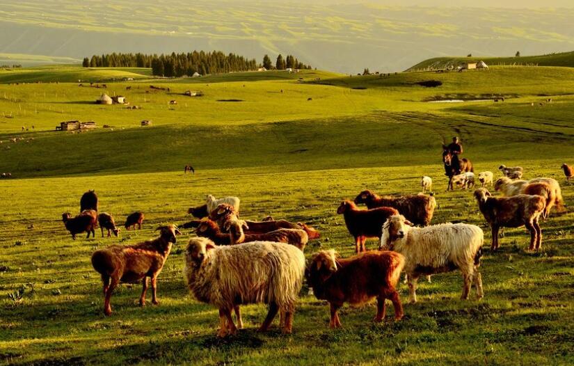 关于烟花的唯美的诗