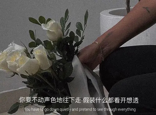 三观超正的神仙文案