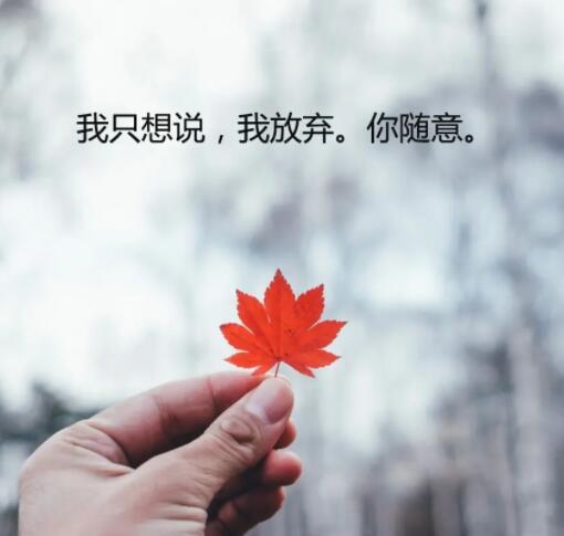 因为悲伤放弃爱情的句子文案