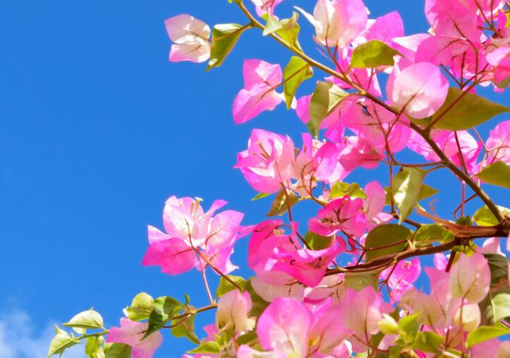 抖音火的励志语录文案短句