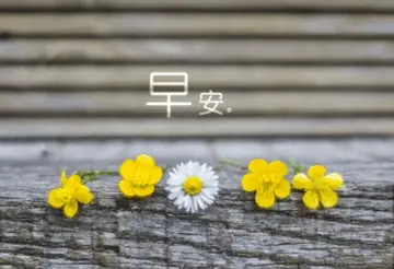 说说文案早安心情短语