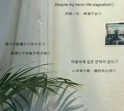 抖音里走心的网红句子文案