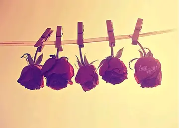 感慨没有钱的日子说说文案