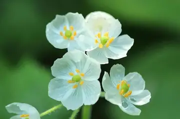 关心问候病人的句子文案