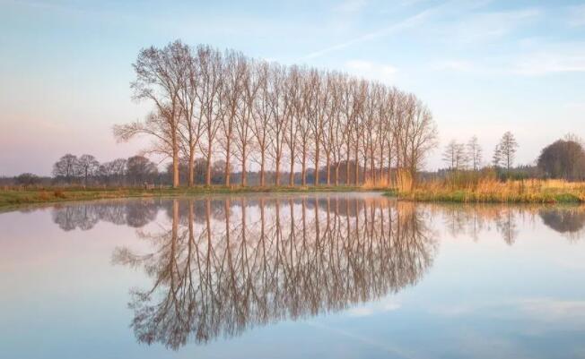 关心体贴男人的话