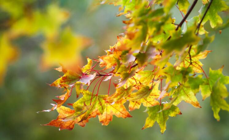 保护自尊心的优美句子文案
