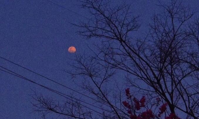 五个字的文案温柔