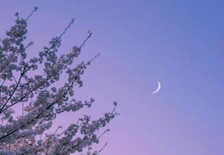 走好人生路的经典名言