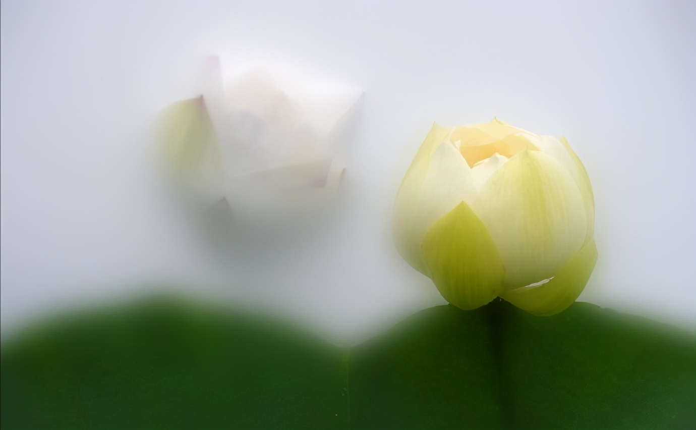 人的忍耐是有限度的句子文案说说