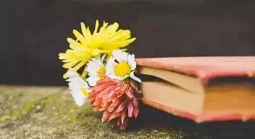 担心最爱的人的句子文案