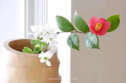 关于生活应该精致的句子文案