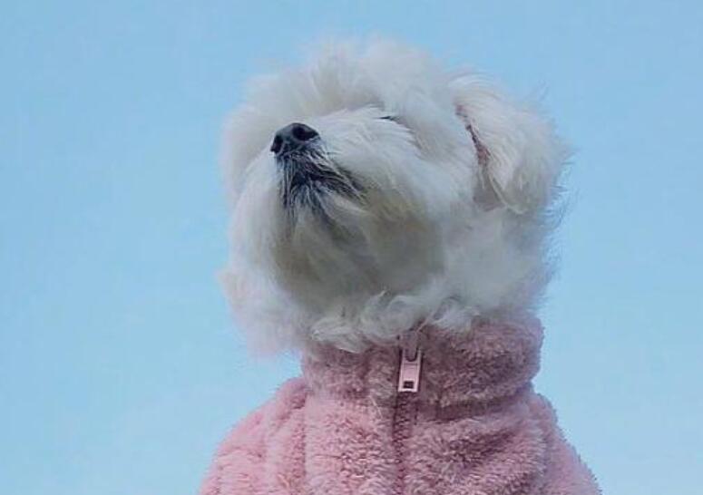 每天早上发的积极向上的话