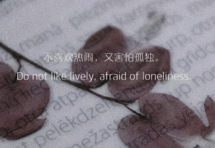 哄女朋友开心暖心语句文案