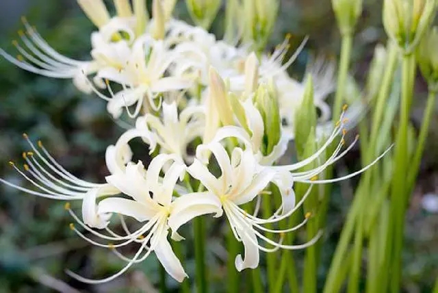 高三接地气励志句子文案