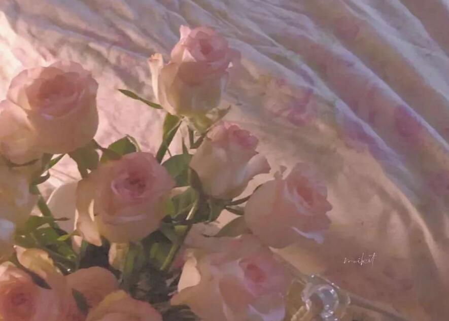 超温柔的短句夏天