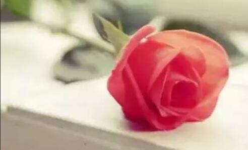 欢迎客人的热情语句文案