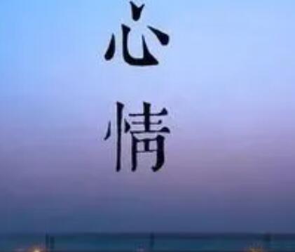 撕心裂肺的痛的说说文案