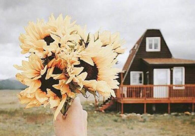 哲理句子文案精辟十字之内