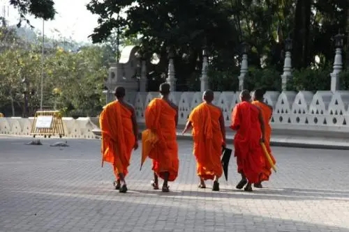 描写僧人穿着的句子文案